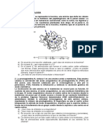 Bioquímica Enzimología