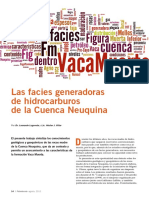 Facies PDF