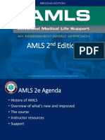 AMLS Webinar PDF