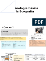 Terminología básica de la Ecografía.pptx