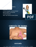 Cirugia de Mama