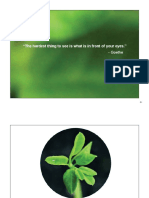 Moringa Presentation (General) Print PDF