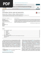 Esb2015 Abstract Book Biological Membrane Cell Membrane Images, Photos, Reviews