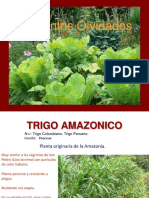 Especiesolvidadas PDF