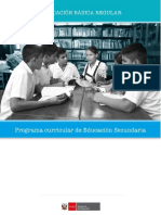 programa-nivel-secundaria-ebr.pdf