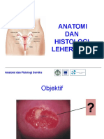 4.Anatomi Dan Histologi Serviks Edit