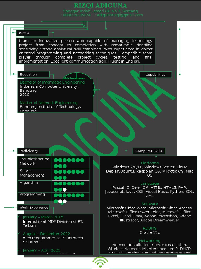Profile: Web Programmer 24% | PDF | Microsoft Office | Programmer