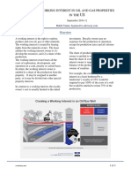 Working Interest Introduction W Energy Advisory v2 PDF