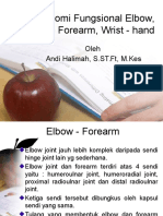 Anatomi Fungsional Elbow, Forearm, Wrist, Hand