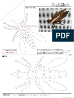 Cicada.pdf