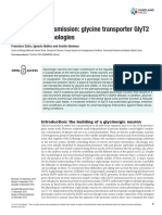GlyT2 transporter role in neuronal pathologies