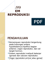 Sistem Reproduksi