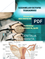 Kehamilan Ektopik Terganggu