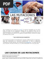 Las Mutaciones
