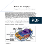 Gambar Sel Hewan Dan Fungsinya