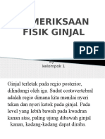 Pemeriksaan Fisik Ginjal