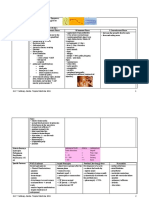 Leptospirosis: A. Leptospiremic Phase B. Immune Phase C. Convalescent Phase