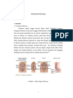 Referat Intra Abdominal Bleeding Ghui