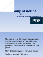 Anatomy of Retina: by DR - Ashok Kumar Valuroutu