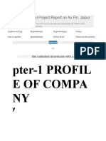 Pter-1 PROFIL E of Compa NY: Download Final Project Report On Au Fin. Jaipur