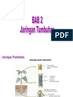 Bab 2 Jaringan Tumbuhan