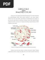 Download JARINGAN IKAT by adnan_unm3177 SN33868064 doc pdf