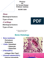 A Bone - Cartilage 16 12 14 PDF