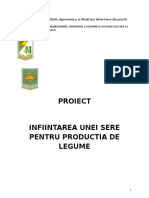 Proiect European