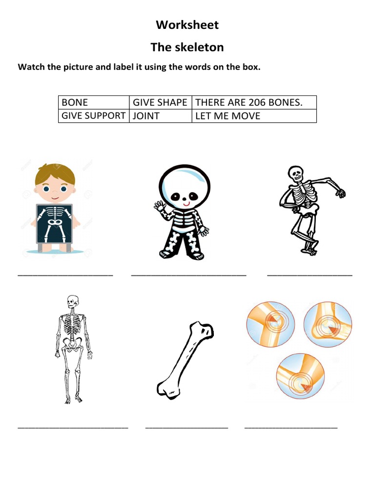 32 Label The Skeleton Worksheet - Label Design Ideas 2020