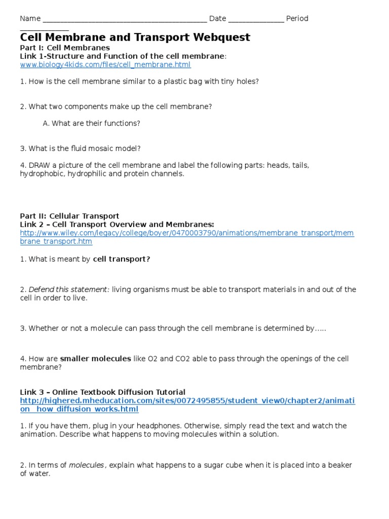 Cell Membrane And Transport Webquest 2017 Pdf Osmosis Cell Membrane