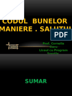 Codul Bunelor Maniere - Salutul