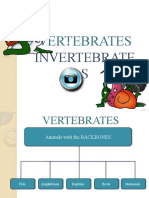 Vertebrates: Invertebrate S