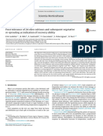 Frost Tolerance of 24 Olive Cultivars and Subseq