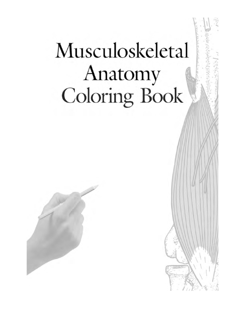 Musculoskeletal Anatomy Coloring Book