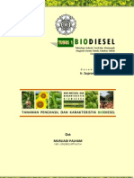 Tugas 1 Biodiesel, Murliadi Palham