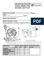 Examen.6to.Grado_.Bloque.3-2016.docx