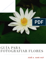 Foto Graf i a Flores