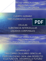 UNIVERSIDAD VERACRUZANA TRAUMA.ppt