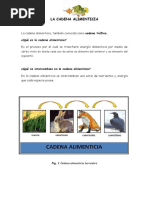 La Cadena Alimenticia July