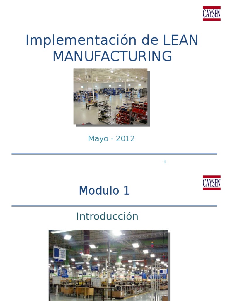 Implementación de Lean Manufacturing | PDF | Toma de decisiones ...