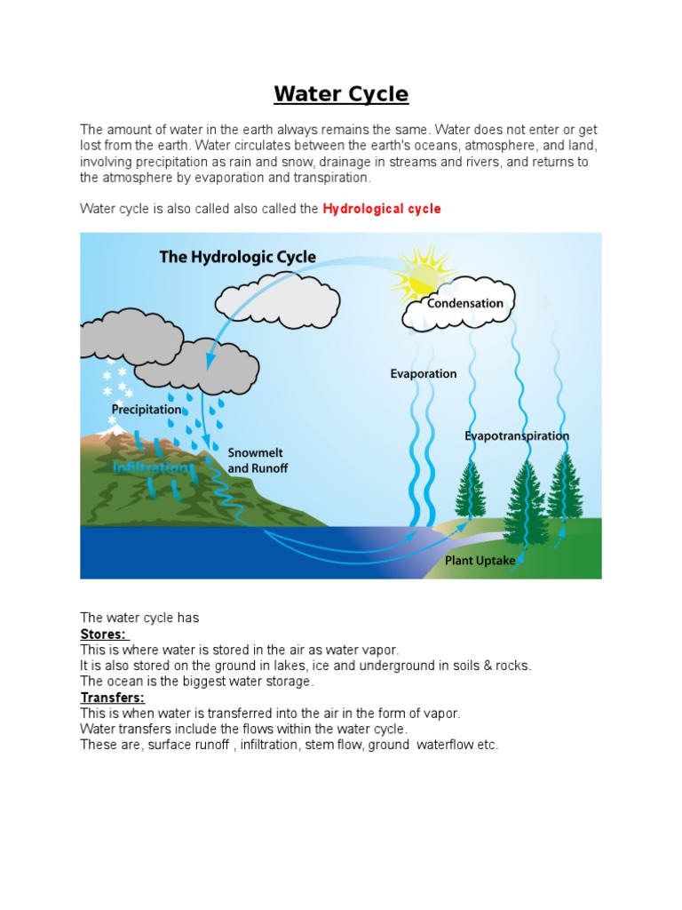 Yr 7 Water Cycle Notes. | PDF | Water Cycle | Water Vapor