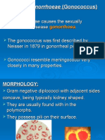 Neisseria gonorrhoeae (Gonococcus