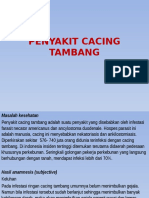 CACING TAMBANG PENYAKIT DAN PENANGANAN