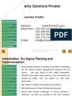 Niche QS Six Sigma Training & Implementation Services