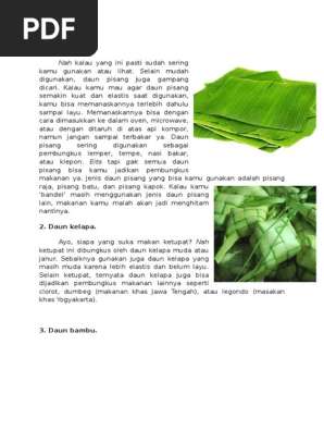 500 Gambar  Daun  Gampang Gambar  ID