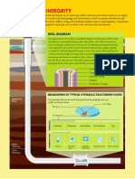 Shell's strict well integrity standards and design