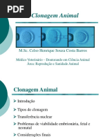 Clonagem de Animais