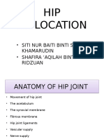 Anatomy of Hip Joint 