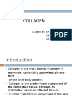 Collagen My Seminar