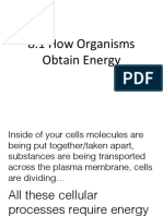 CH 8-1 How Organisms Obtain Energy